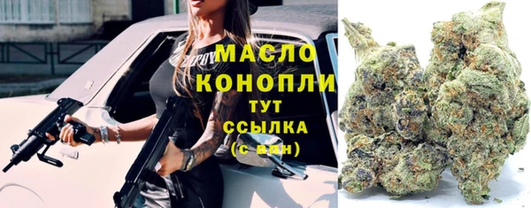 твердый Арсеньев