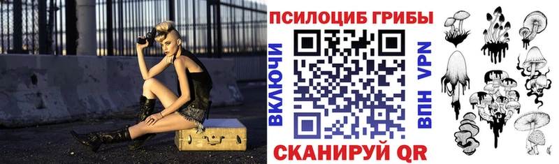 Псилоцибиновые грибы Psilocybine cubensis  Артёмовский 